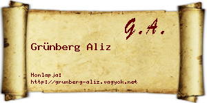Grünberg Aliz névjegykártya